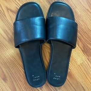Basic Black Sildes
